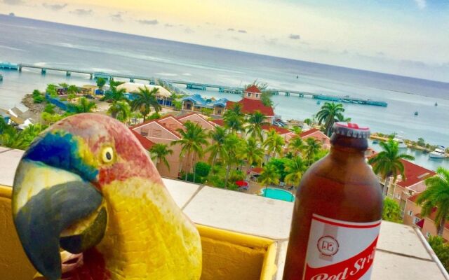 Deez Bed and Breakfast Ocho Rios