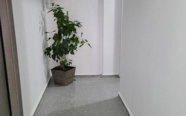Alina apartament 2