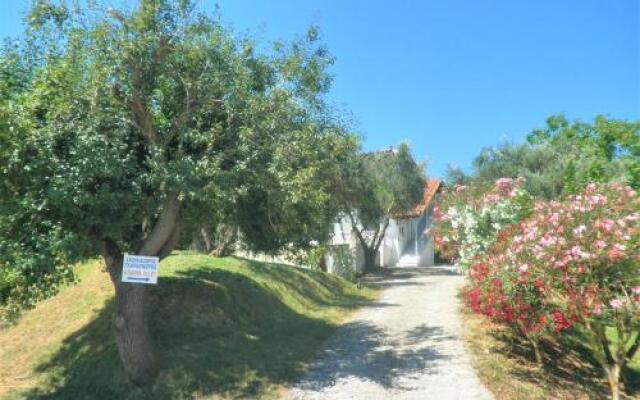 Aktipis Studios