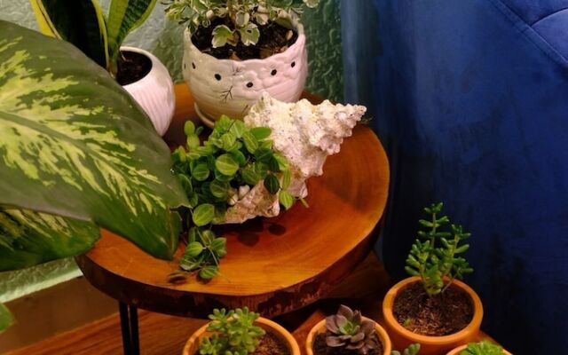 Together House - Hostel