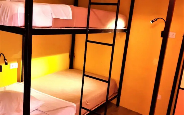 Happy Tree Hostel Peru