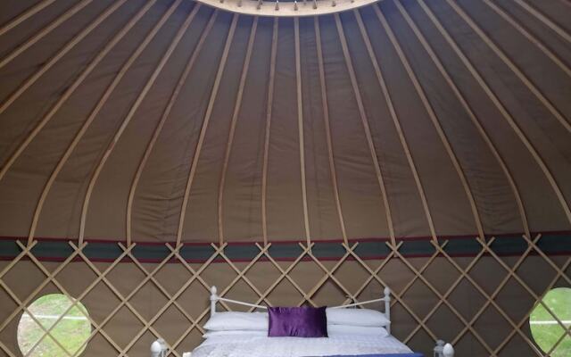 Looe Yurts