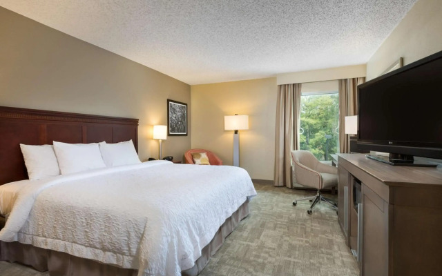Hampton Inn Houston-Near The Galleria
