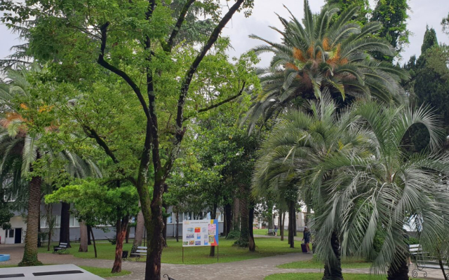 "Жоэквара"