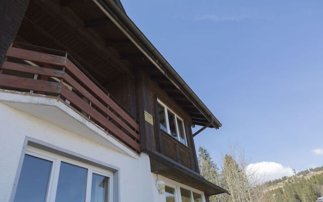 Kuckucksnester Feldberg