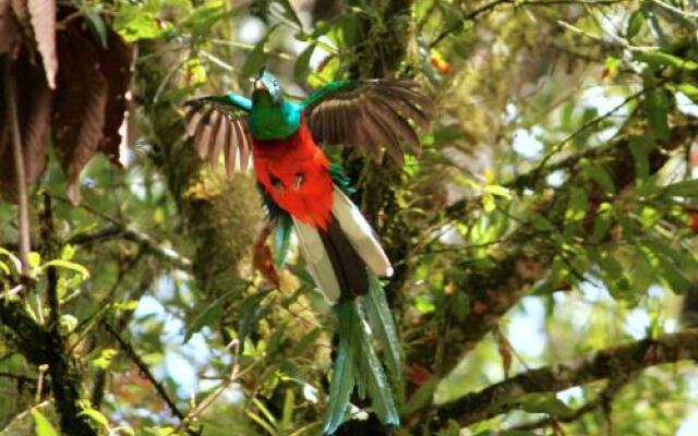 Ranchitos del Quetzal - Parque Ecológico Gucumatz