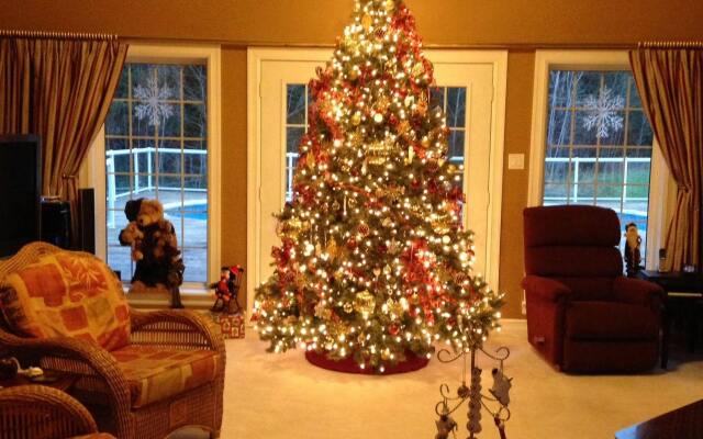 Snowflake Manor Bed and Breakfast