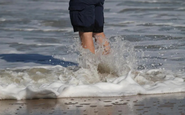 The Beach-house nr.98