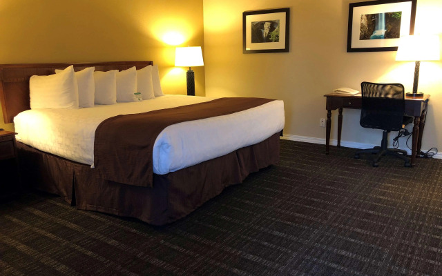 Best Western Lakewood