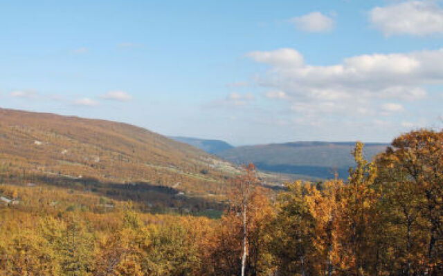 Havsdalsgrenda Apartments