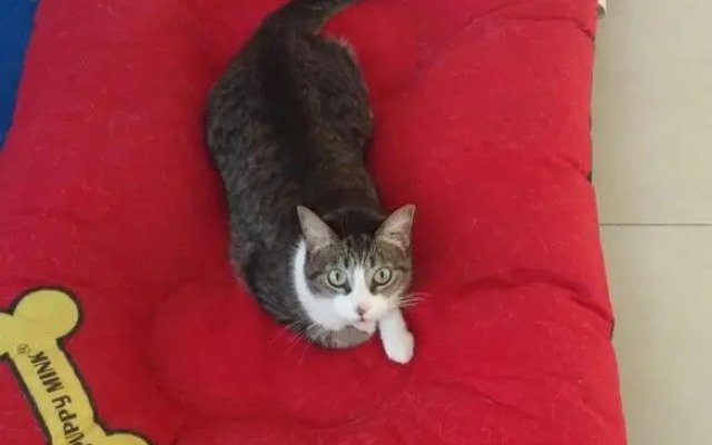 Paraíso Casa Turquesa Playa del Carmen