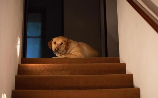 Hotel Ristorante Terzo Crotto