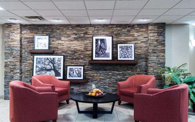 Comfort Inn & Suites LaVale - Cumberland