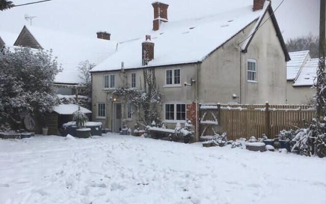 Forest view Bed and Breakfast