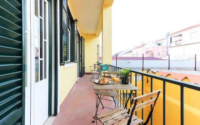 Rato Elegant By Homing