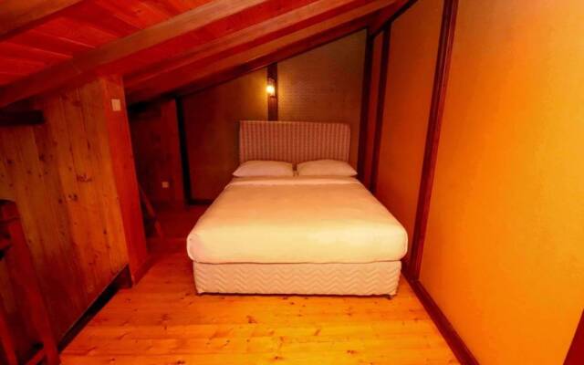 Alpine Hotel