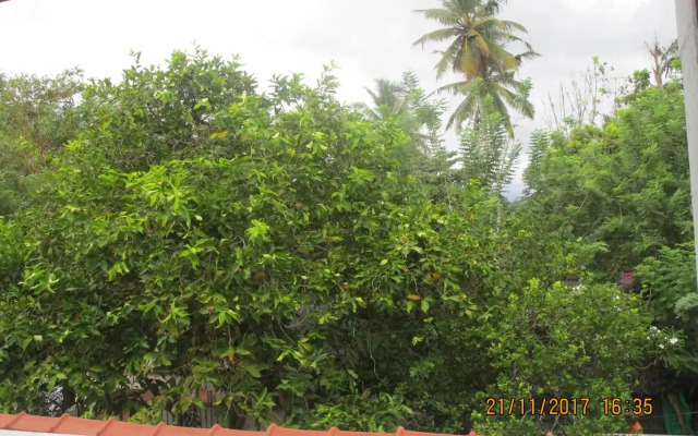 Coconut Surf Inn