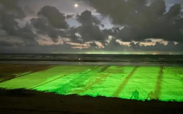 Happy Day's Diveagar