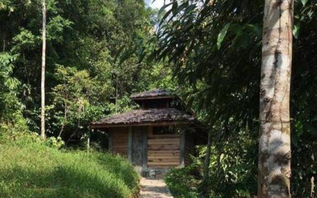 Sumatra Rainforest Eco Retreat