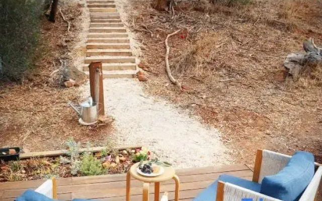 Blue Orchid Tiny House