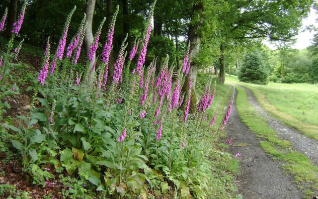 Meadowland Farm
