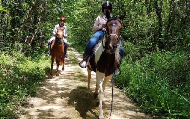 Gîte Équestre Domaine des Crins - Monpazier