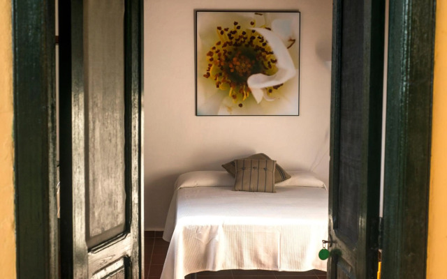 FINCA LA PLANTACIÓN _Agroturismo