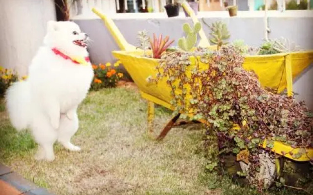 Hostel E Pousada Tiradentes