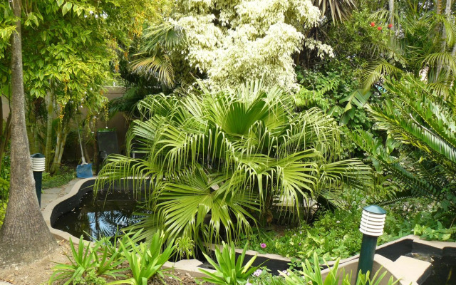 See More Guest House