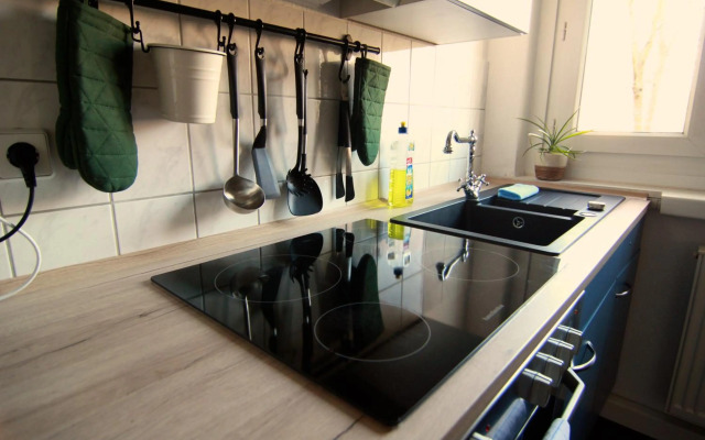 Whg./flat am Großen Garten in Dresden