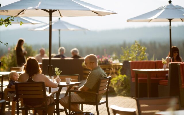 The Juniper Hotel
