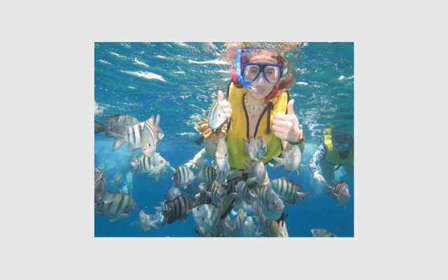 Baru Luxury Homes Cozumel