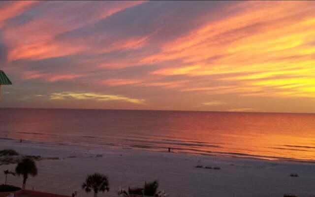 Beach Palms 402