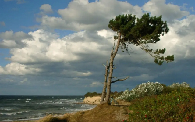 Hotel & Restaurant Zum Kap Arkona