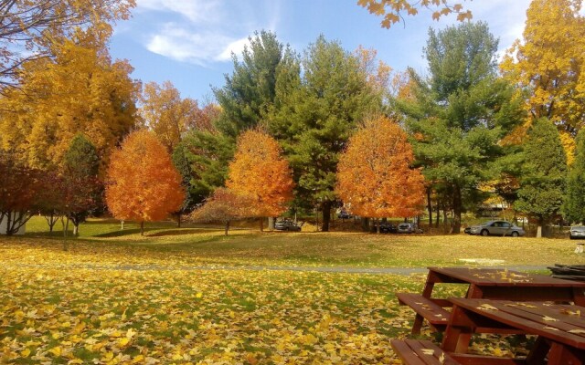Stony Point Center