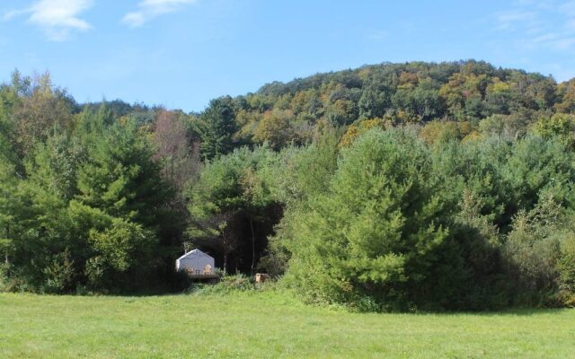 Tentrr - Running Spring Farm