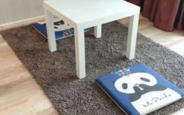 Panda Cub Hotel China West Normal University Branch