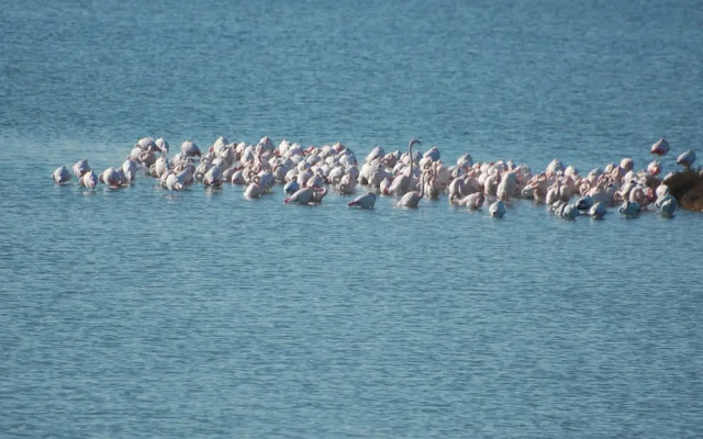 Sun Drenched Seaside Holiday Home with Pool near Venice