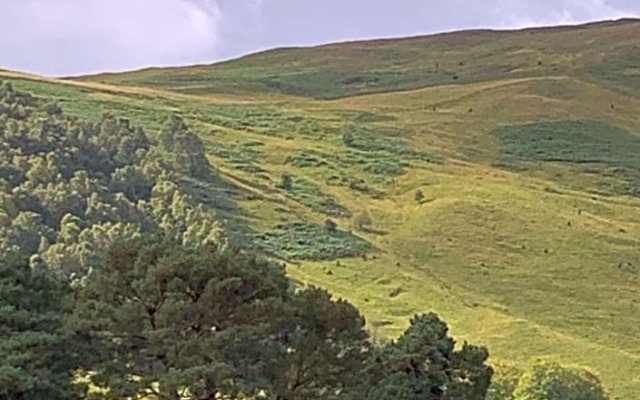 Blair Atholl River tilt park treetops