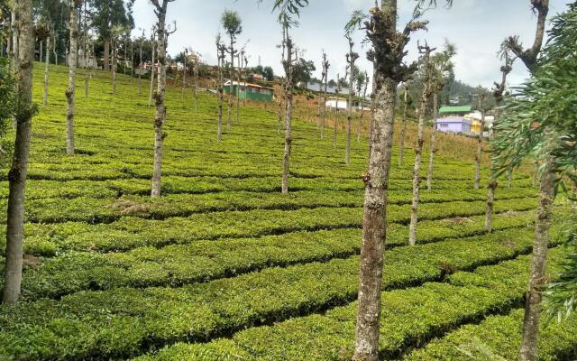 Palve Sugavasam Resorts - Ooty