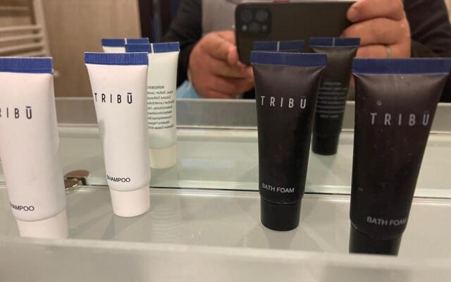 Tribu Appartment Didveli