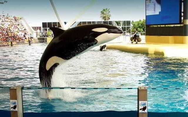 Courtyard Orlando Downtown