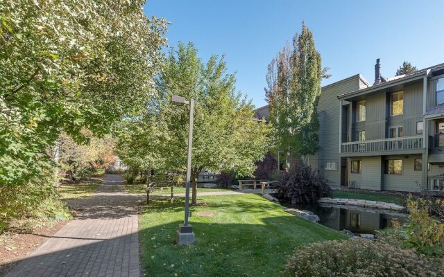 Cottonwood 1405 - Studio Condo