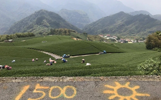 A-Li A-Li Homestay