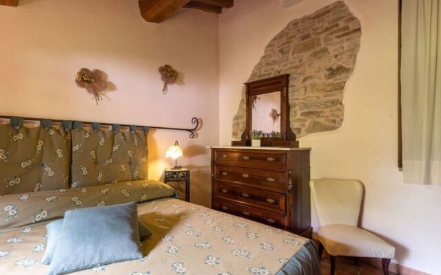 House Olinto Cinigiano