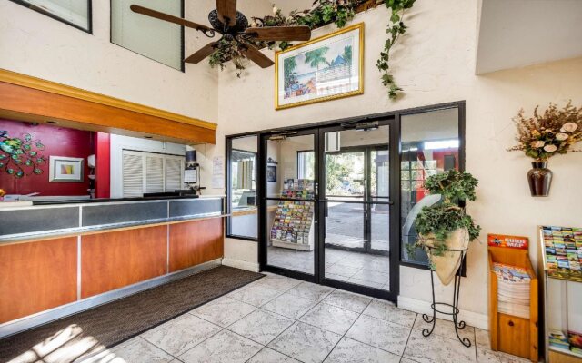 Knights Inn Palm Harbor Clearwater