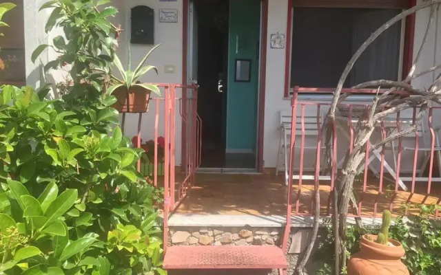 B&B Xenia