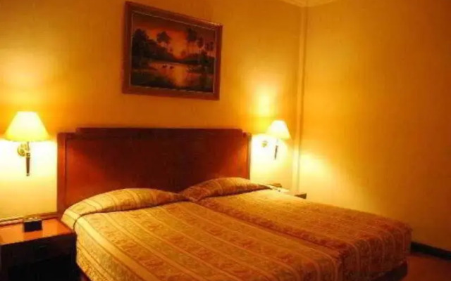 城市中心度假别墅(Holiday Villa City Centre)