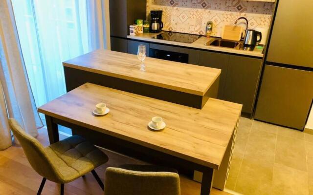 Modern and New Apartment near City Center V6B-64