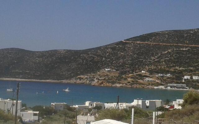 Prasini Gonia